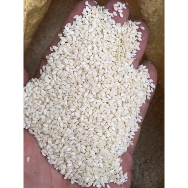 Mè Trắng (Vừng Trắng) 2