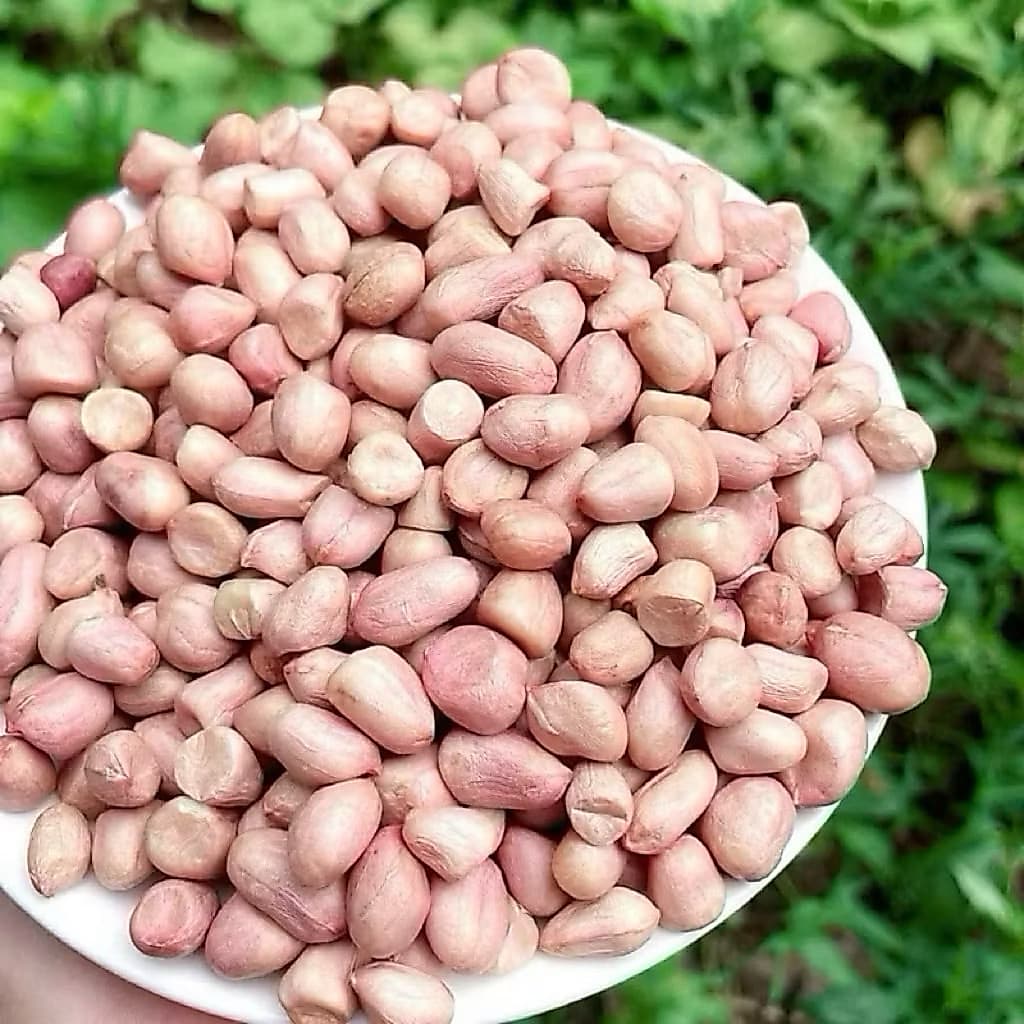 Đậu Phộng Rang 2